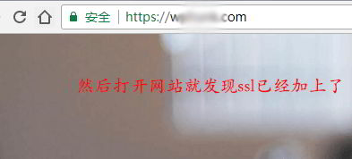 siteground-install-wordpress-ssl_014