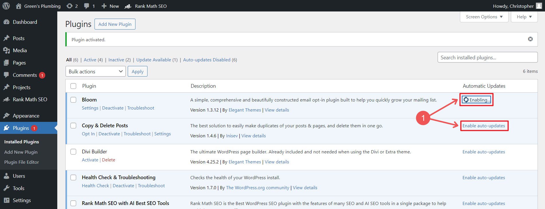 Setup-Automatic-Plugin-Updates